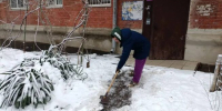УК чистят дворы и дорожки в Краснодаре - Газета Краснодарские известия