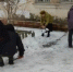 Эксперты нашли большие плюсы в снежном апокалипсисе на Кубани - KrasnodarMedia