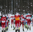 Лыжники Непряева и Коростелев поедут на Олимпийские игры 2026 года в Милан - Газета Краснодарские известия