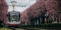 Температура резко поднимется до +16 градусов в конце января в Краснодаре - Газета Краснодарские известия