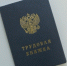 Какие профессии будут на пике зарплат в 2026 году - прогноз HR-эксперта - KrasnodarMedia
