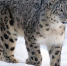 Фото: pixabay.com - ТК Краснодар