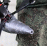 Подготовка подразделений беспилотных систем началась в ЮФО - Газета Краснодарские известия