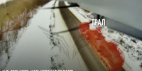 Фото: Минобороны России - ТК Краснодар
