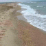 Более 3 тысяч километров черноморского побережья очищено от нефтепродуктов - Smi.Kuban.Info