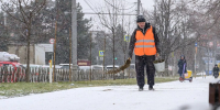 За сутки в Краснодаре от гололеда обработали около 421 км дорог - Кубанские Новости