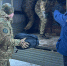 Волгоградская область передала большую партию беспилотников и другого снаряжения в зону СВО - Yug.Press