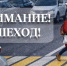 Пешеходный переход: где заканчивается спешка и начинается безопасность - Кубанские Новости