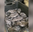 250 кг немаркированной черной икры изъяли на предприятии в Северском районе - Smi.Kuban.Info