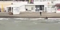 В Сочи спасатели нашли виндсерфера, которого унесло в море - Smi.Kuban.Info