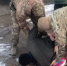 ФСБ задержала жителя Краснодара за госизмену - Кубанские Новости