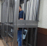 Фото: t.me/Mos_obl_sud - ТК Краснодар