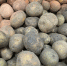На Кубани за неделю резко подорожали яйца, картофель и сметана - Югополис