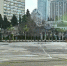 Участок земли в центре Сочи вернулся в муниципальную собственность - Кубанские Новости