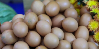 На Кубани цены на яйца рванули вверх перед Пасхой: за неделю продукт подорожал на 3,3 процента - LiveKuban.Ru