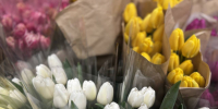 Около двух тысяч праздничных мероприятий пройдет на Кубани в честь 8 марта - Югополис