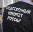 На Кубани и в Подмосковье расследуются дела о половом преступлении против девочки - Югополис
