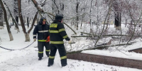 Спасатели установили личности двух утонувших детей в Звенигороде - Газета Краснодарские известия