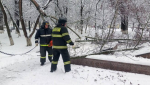 Спасатели установили личности двух утонувших детей в Звенигороде