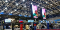 Около 200 рейсов планирует обслужить аэропорт Сочи после вынужденной паузы - KrasnodarMedia