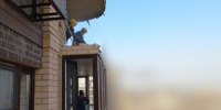 Спасатели убрали опасные конструкции после ударов беспилотников в Краснодаре  - Газета Краснодарские известия