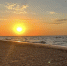 В Анапе готовятся к открытию песчаных пляжей: мэр города назвала условие допуска к сезону - Itar-TassKuban.Ru
