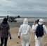 Более 3 тысяч километров пляжей Анапы и Темрюкского района расчищено от мазута - Itar-TassKuban.Ru