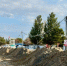Пляжи Анапы планируют очистить от мазута за три месяца - Газета Кубань Сегодня