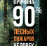 Геленджичане и посетители курорта, охраняйте природу! - Itar-TassKuban.Ru