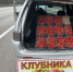 Глава Туапсинского округа предостерег автопутешественников от покупки ягод на обочинах трассы - Кубанские Новости