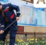 Сотрудники МУП “КТТУ” наводят санитарный порядок в Краснодаре - Газета Кубань Сегодня
