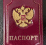 Берлин настаивает на общеевропейском запрете небиометрических загранпаспортов РФ - Кубанские Новости