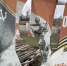 Вандалы в Темрюке снова осквернили баннеры к 9 Мая на Военной горке vk.com/sidorovvla - KrasnodarMedia