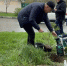 Петербургские специалисты займутся созданием &quotзеленого кода&quot Новороссийска Пресс-служба администрации Новороссийска - KrasnodarMedia