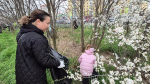 Фото: городская Дума Краснодара