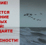 Фото: пресс-служба администрации Новороссийска - НИА-Кубань