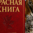 Минприроды опровергло слухи о новых правилах добычи краснокнижных животных в России  - Газета Краснодарские известия