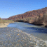 В Туапсинском округе Краснодарского края усилили контроль за уровнем воды: на реках работают посты визуального мониторинга - LiveKuban.Ru