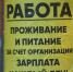 Работа есть: Краснодарский край открывает новые возможности для соискателей - LiveKuban.Ru