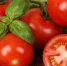 Мои шесть маленьких секретов выращивания большого урожая вкусных помидоров - Кубанские Новости