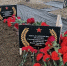 В Крыму перезахоронили найденного бойца с Кубани - Комсомольская Правда
