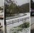 © Коллаж Юга.ру из фото телеграм-канала «Sochi Today» - Yuga.Ru