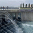Мэр Ростова заявил, что его огорчает отток жителей на выходные в Краснодар - ТК Краснодар
