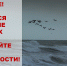 Внимание! Ожидается ухудшение погоды: сильный дождь, гроза, град, ветер до 20-23 м/с - Itar-TassKuban.Ru