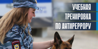 В Геленджике 22 апреля в школах состоятся антитеррористические учения - Itar-TassKuban.Ru
