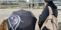 Синоптики спрогнозировали погоду на Кубани в майские праздники - KrasnodarMedia