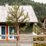 Депутат Чаплин дал дачникам алгоритм спасения саженцев в холода - Кубанские Новости
