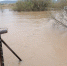 Стихия ударила по Белореченскому району Кубани: дома в воде, введён режим ЧС - LiveKuban.Ru