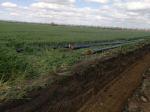 В Успенском районе продолжается строительство объектов водной инфраструктуры