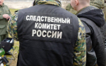 На Кубани возбуждено уголовное дело об избиении девочки группой подростков